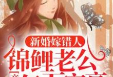 新婚嫁错人，锦鲤老公竟是亿万富豪主角 安浅年谨尧小说完结版章节在线阅读-豌豆文学