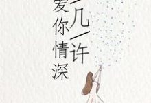 爱你情深深几许这本小说怎么样？免费在线阅读试试-豌豆文学