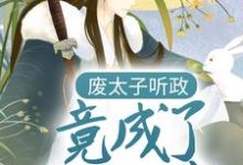 废太子听政，竟成了千古一帝小说全文阅读需要付费吗？寻找免费资源-豌豆文学