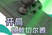完结版《开局执教切尔西》在线免费阅读-豌豆文学