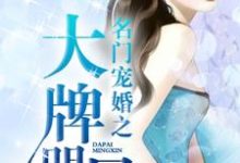 景晏殊贺子钰苏桥染的完整故事在哪里？读名门宠婚之大牌明星小说-豌豆文学