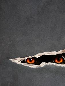 东北怪谈录小说的免费电子版在哪里可以下载或阅读？