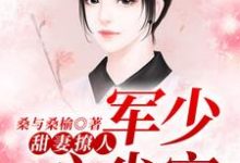 已完结小说《甜妻撩人：军少心尖宠》在线章节阅读-豌豆文学
