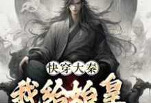 完结版《快穿大秦：我给始皇当左相》章节目录在线阅读-豌豆文学