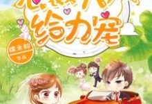 姜浅陆辞尧周周嘟嘟是哪本书的主角？1胎2宝：总裁大人，给力宠免费读-豌豆文学