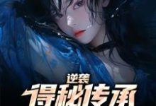 在线寻找姜小川苏玉的小说，逆袭：得秘传承反杀心机女免费阅读-豌豆文学