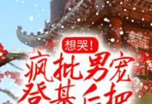 主人公婳婳离渊小说想哭！疯批男宠登基后把她铐上了在线章节阅读-豌豆文学