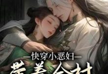 已完结小说《快穿小恶妇，带着全村一起奔小康》章节在线阅读-豌豆文学