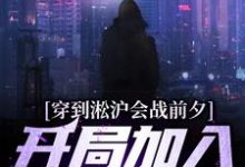 寻找能够免费阅读穿到淞沪会战前夕，开局加入黑风寨小说的平台-豌豆文学