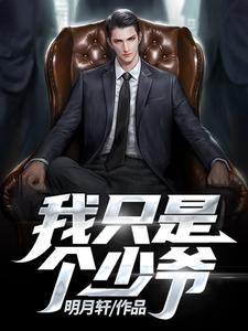 我只是个少爷免费阅读，我只是个少爷赵彦何诗婉
