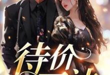 姜卓宁沈听肆的故事在哪本书里？免费阅读待价而沽-豌豆文学