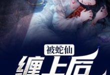 主角叫苏苏柳玄夜的小说在哪阅读-豌豆文学