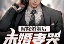 解除婚姻后,未婚妻哭着求复合小说最新更新在哪里?免费在线看-豌豆文学