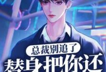 岑溪顾子风小说在哪里可以看-豌豆文学