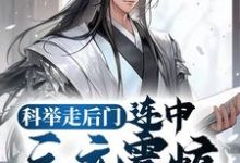 科举走后门，连中三元震惊无数学子小说无弹窗阅读的网站推荐-豌豆文学