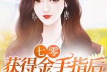 七零：获得金手指后，宝妈杀疯了小说的无弹窗阅读体验，寻找免费阅读网站-豌豆文学