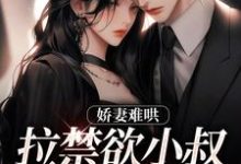 完结版《娇妻难哄：拉禁欲小叔下神坛》在线免费阅读-豌豆文学