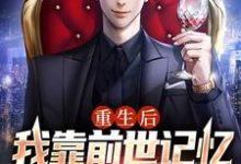 重生后，我靠前世记忆投资赢麻了小说的无弹窗阅读体验，寻找免费阅读网站-豌豆文学