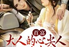 首富大人的心尖人，公主娇妻是也主角林兮赵瑾辞小说完结版章节在线阅读-豌豆文学