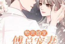 寻找能够免费阅读绝世婚宠：傅总宠妻超甜小说的平台-豌豆文学