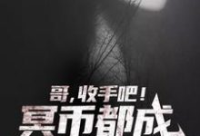 哥，收手吧！冥币都成国货之光了免费阅读，哥，收手吧！冥币都成国货之光了章节在线阅读-豌豆文学