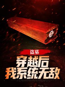 盗墓：穿越后我系统无敌许言吴邪在线章节免费阅读