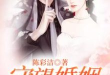 主角叫陈彩洁菊花小说守望婚姻章节免费阅读-豌豆文学