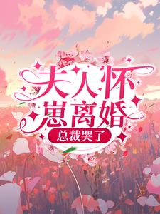 江夕月霍默笙小说叫什么（夫人怀崽离婚，总裁哭了免费阅读）