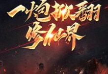 一炮掀翻修仙界秦枫小说在线章节免费阅读-豌豆文学