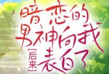 《后来，暗恋的男神向我表白了》小说章节在线试读，《后来，暗恋的男神向我表白了》最新章节目录-豌豆文学