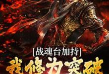 战魂台加持，我修为突破太快了！沈天刑小说在线章节免费阅读-豌豆文学