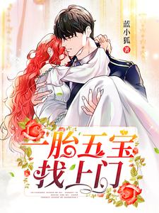 小说《一胎五宝找上门》章节阅读