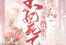小说《王妃死了,王爷痛不欲生》在线章节阅读-豌豆文学