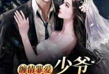 苏绵绵谢与淮小说叫什么（缠情罪爱：少爷，夫人逃跑了免费阅读）-豌豆文学