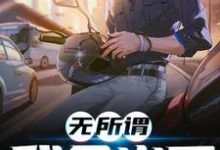 主人公叫苏禾沈月的小说哪里免费看-豌豆文学