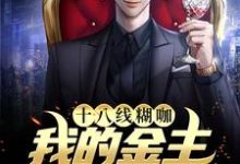 已完结小说《十八线糊咖：我的金主是我小后妈》章节免费阅读-豌豆文学