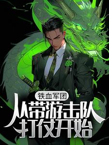铁血军团，从带游击队打仗开始主角 林锋李云龙小说完结版章节在线阅读