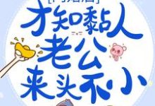 闪婚后，才知黏人老公来头不小小说有没有完结版在线？-豌豆文学