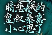 重生后,暗恋朕的皇叔暴露小心思了小说无弹窗阅读的网站推荐-豌豆文学