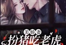 已完结小说《美娇妻扮猪吃老虎，爆改懒汉老公》章节免费阅读-豌豆文学