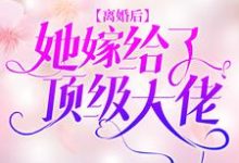 离婚后，她嫁给了顶级大佬主角苏浅厉天擎盛广美小说完结版章节在线阅读-豌豆文学