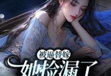 求被逼替嫁，她捡漏了财阀大佬小说的全文免费阅读链接-豌豆文学