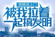 俏媳送上门，被我拉着一起搞发明这本小说怎么样？免费在线阅读试试-豌豆文学