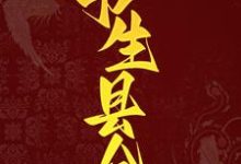 书生县令主角吴心童瑶瑶小说完结版章节在线阅读-豌豆文学