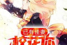 顾辰时是哪本书的主角？已有佳妻，校花你快放手吧免费读-豌豆文学