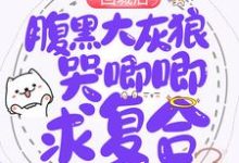 回城后，腹黑大灰狼哭唧唧求复合小说最新更新在哪里？免费在线看-豌豆文学