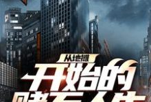 从地摊开始的赌石人生这本小说完结了吗？免费查看最新章节-豌豆文学