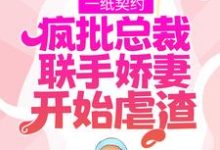 一纸契约：疯批总裁联手娇妻开始虐渣免费阅读，一纸契约：疯批总裁联手娇妻开始虐渣章节目录-豌豆文学