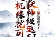 送机缘就可获神级返利，他反超成圣了免费阅读，送机缘就可获神级返利，他反超成圣了章节在线阅读-豌豆文学