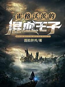 完结版《霍格沃茨的混血王子》在线免费阅读